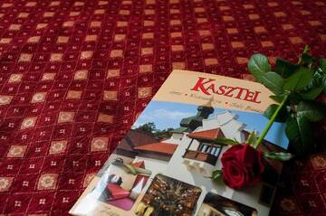 Фото номера Стандартный двухместный номер с 1 кроватью Отель Hotel Kasztel г. Rzezawa 19