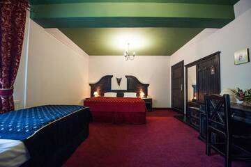 Фото номера Стандартный двухместный номер с 1 кроватью Отель Hotel Kasztel г. Rzezawa 16