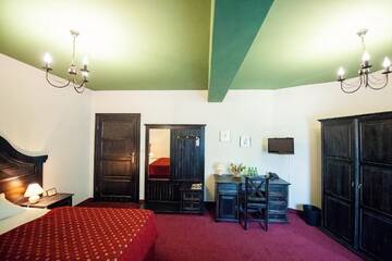 Фото номера Стандартный двухместный номер с 1 кроватью Отель Hotel Kasztel г. Rzezawa 23