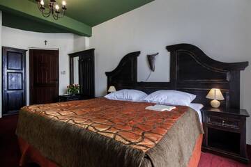 Фото номера Стандартный двухместный номер с 1 кроватью Отель Hotel Kasztel г. Rzezawa 24